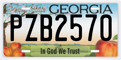 GA license plate PZB2570