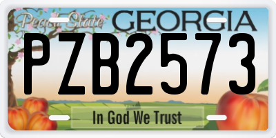 GA license plate PZB2573