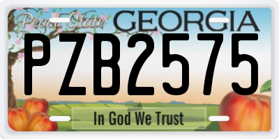 GA license plate PZB2575