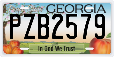 GA license plate PZB2579