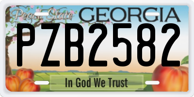 GA license plate PZB2582