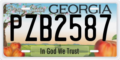 GA license plate PZB2587