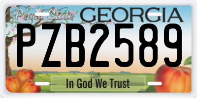 GA license plate PZB2589