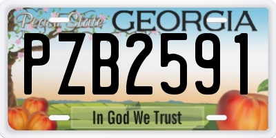 GA license plate PZB2591