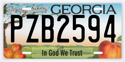 GA license plate PZB2594