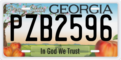 GA license plate PZB2596
