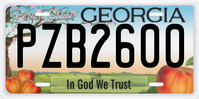 GA license plate PZB2600