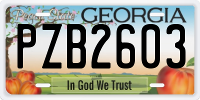 GA license plate PZB2603
