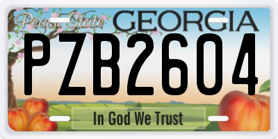 GA license plate PZB2604