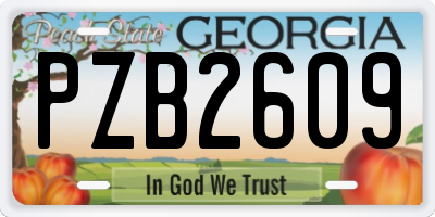 GA license plate PZB2609