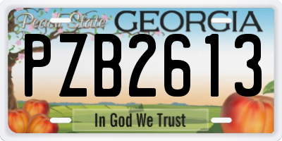 GA license plate PZB2613