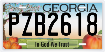 GA license plate PZB2618