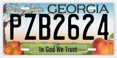 GA license plate PZB2624