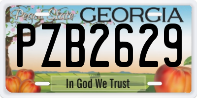 GA license plate PZB2629