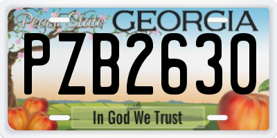 GA license plate PZB2630