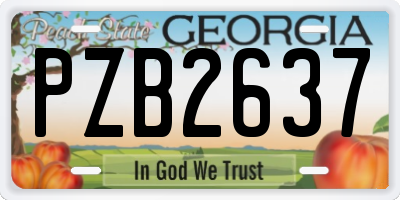 GA license plate PZB2637