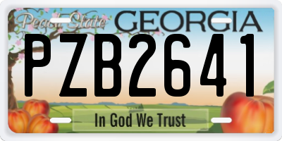 GA license plate PZB2641