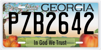 GA license plate PZB2642
