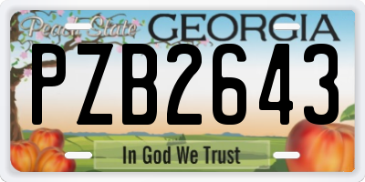GA license plate PZB2643