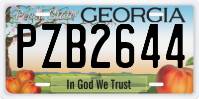 GA license plate PZB2644