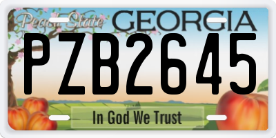 GA license plate PZB2645