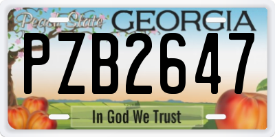 GA license plate PZB2647