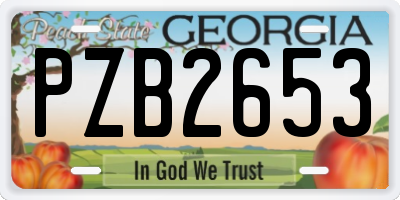 GA license plate PZB2653