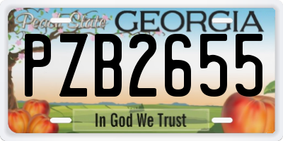 GA license plate PZB2655