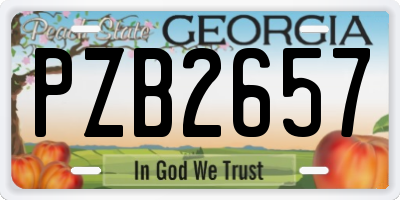 GA license plate PZB2657