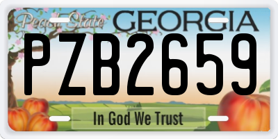 GA license plate PZB2659