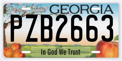 GA license plate PZB2663