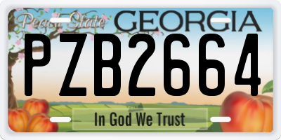 GA license plate PZB2664