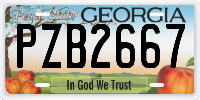 GA license plate PZB2667