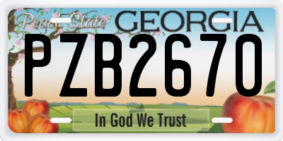 GA license plate PZB2670
