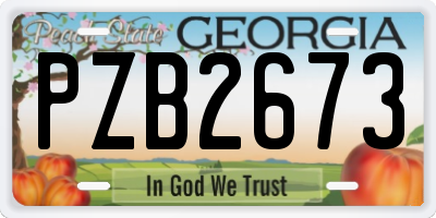 GA license plate PZB2673