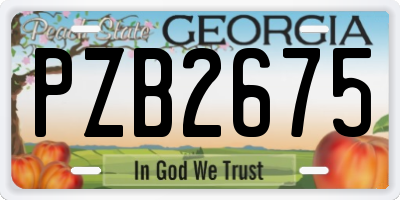 GA license plate PZB2675