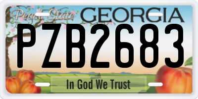 GA license plate PZB2683