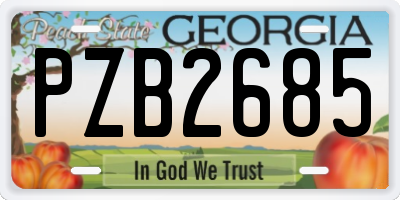 GA license plate PZB2685