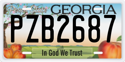 GA license plate PZB2687