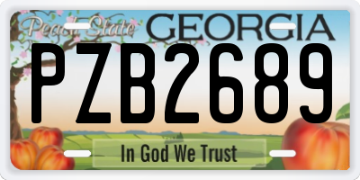GA license plate PZB2689