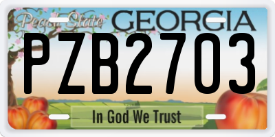 GA license plate PZB2703