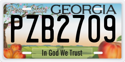 GA license plate PZB2709