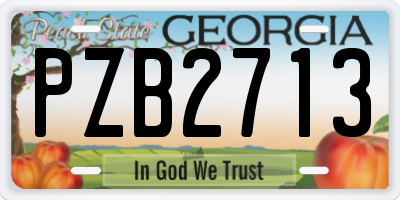 GA license plate PZB2713