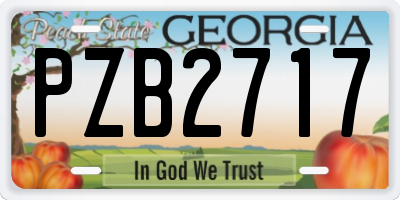 GA license plate PZB2717