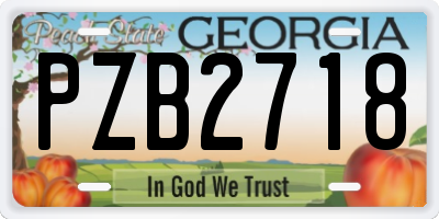 GA license plate PZB2718