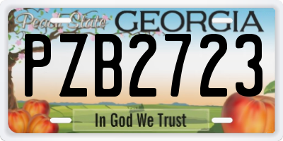 GA license plate PZB2723
