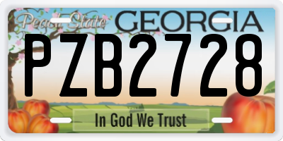 GA license plate PZB2728