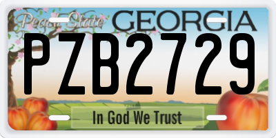 GA license plate PZB2729