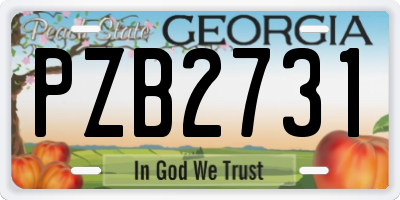 GA license plate PZB2731