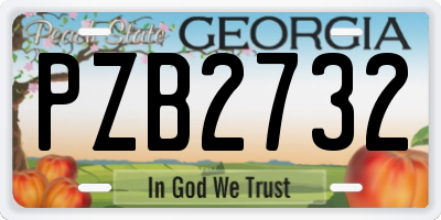 GA license plate PZB2732
